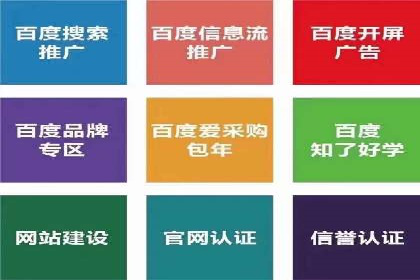 SEM推广案例：提升网站转化率策略解析